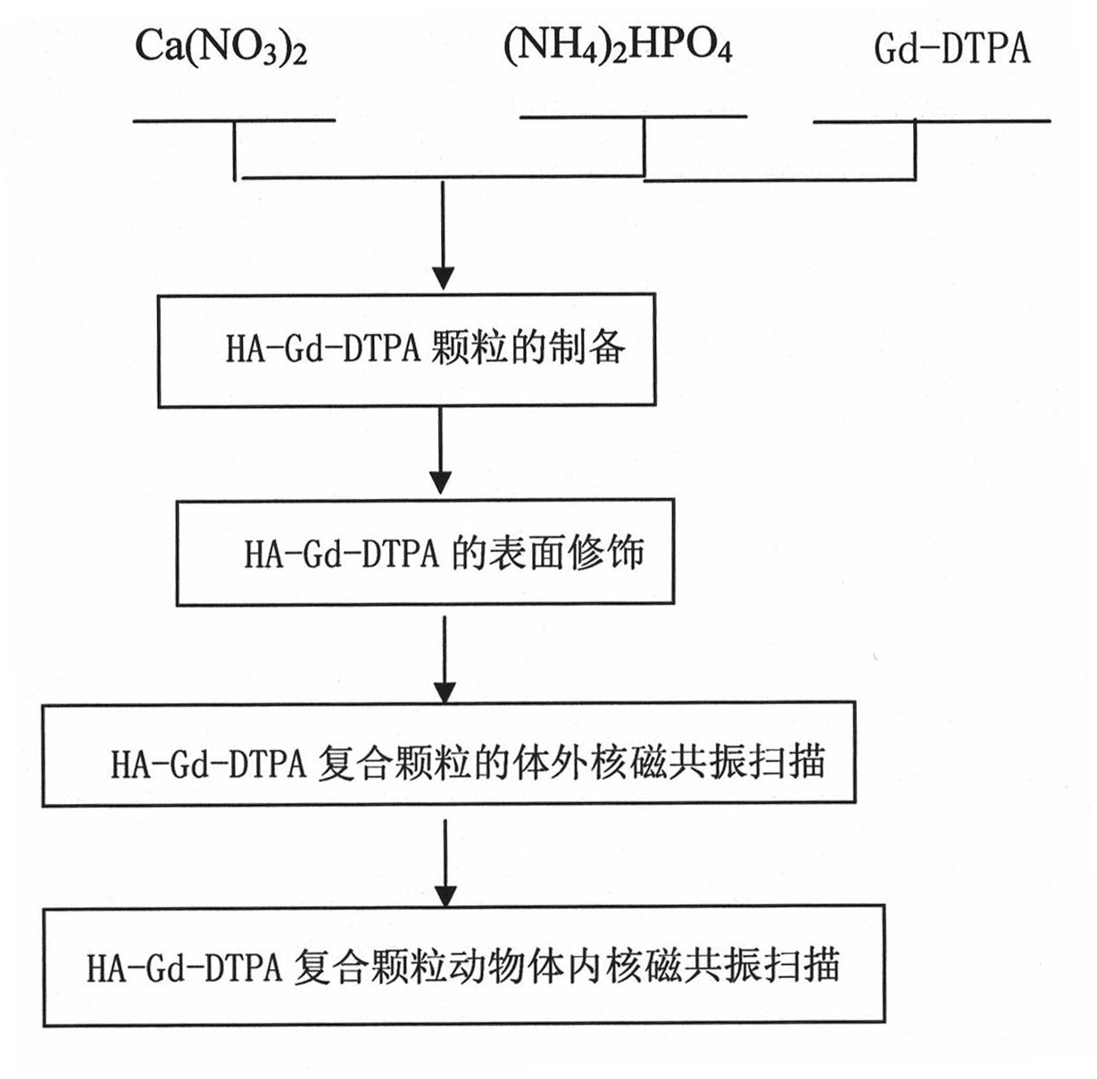 Liver, spleen specific positive magnetic nuclear resonance contrast agent and method of preparing the same