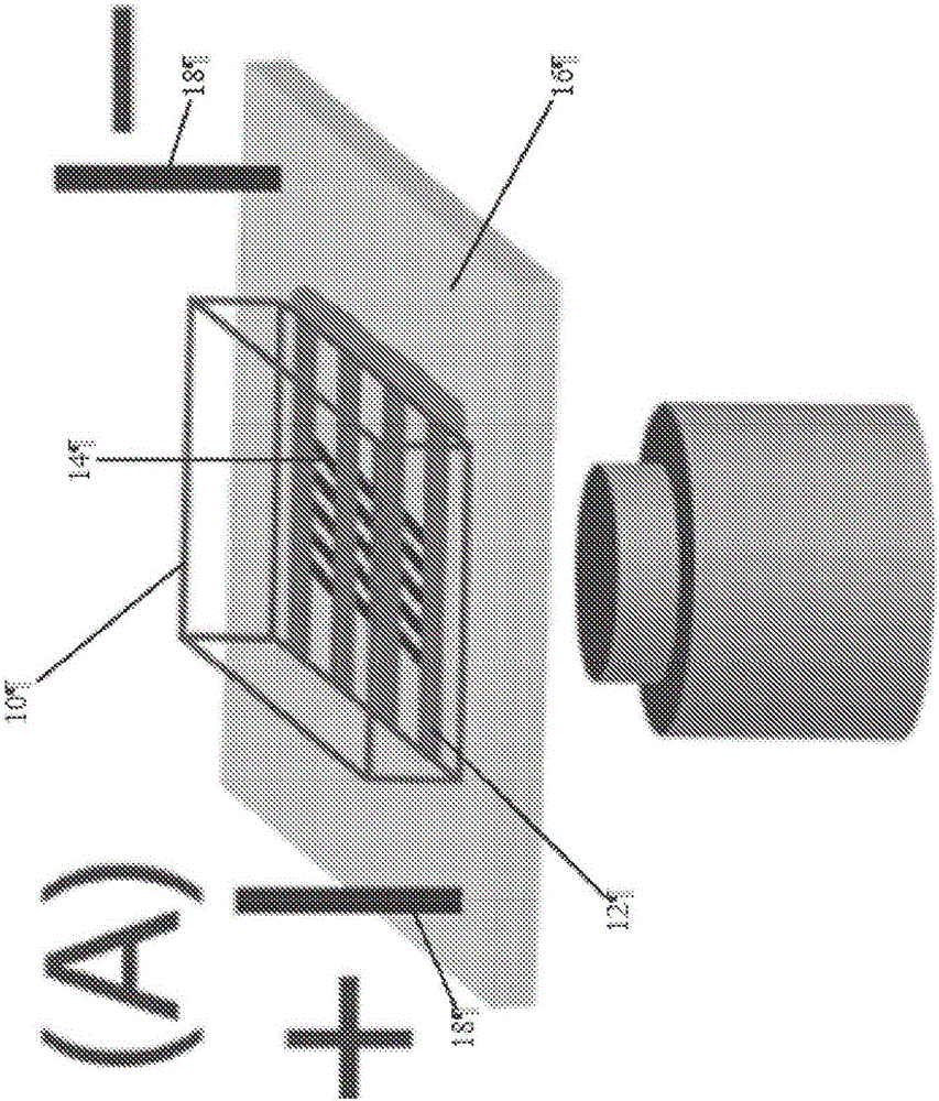 System and method for presenting large DNA molecules for analysis