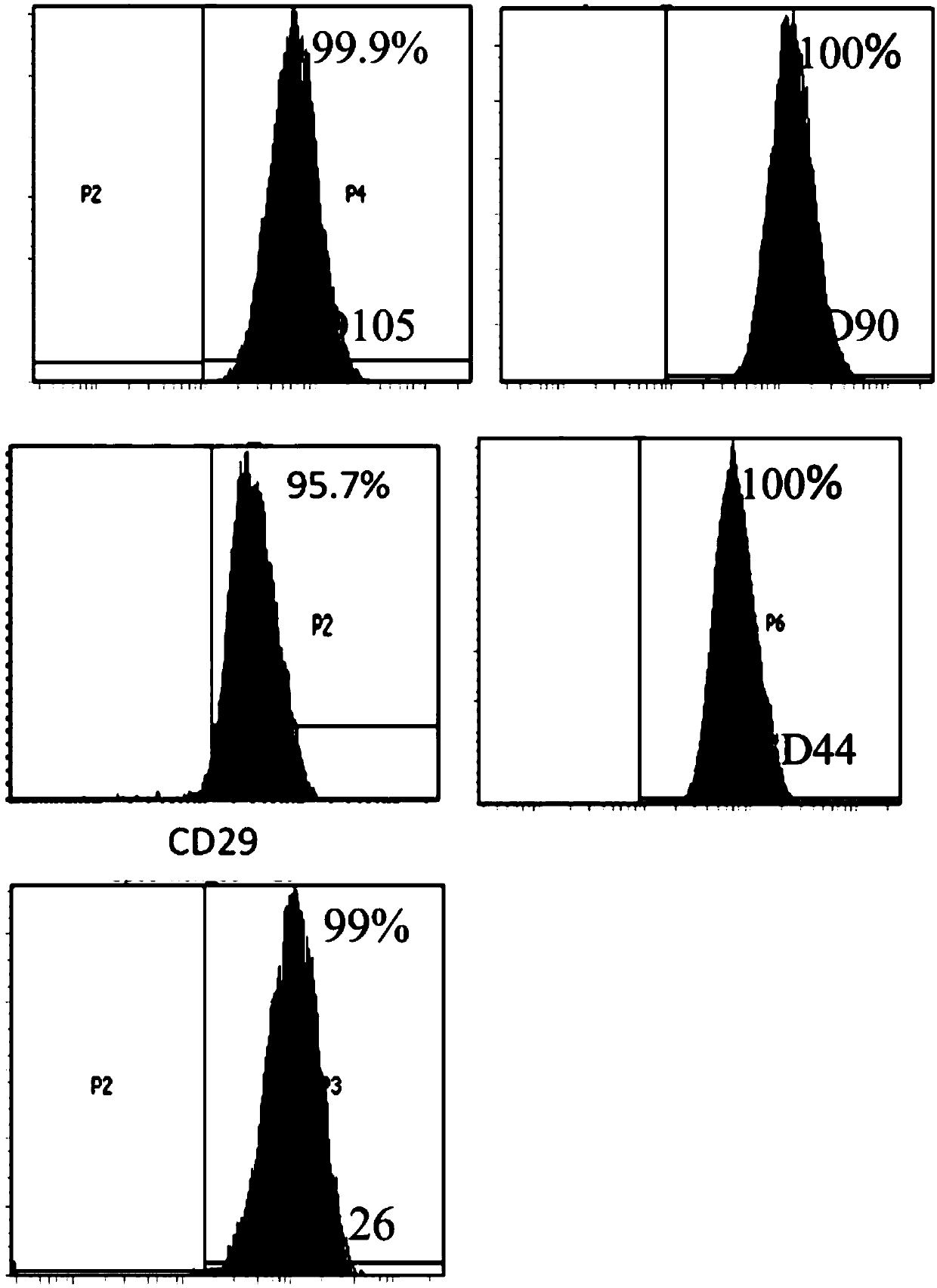 Cell preparation capable of treating allergic rhinitis