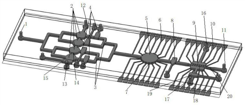 Micro-fluidic chip for monitoring movement behaviors and physiological characteristics of nematodes