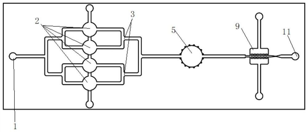 Micro-fluidic chip for monitoring movement behaviors and physiological characteristics of nematodes