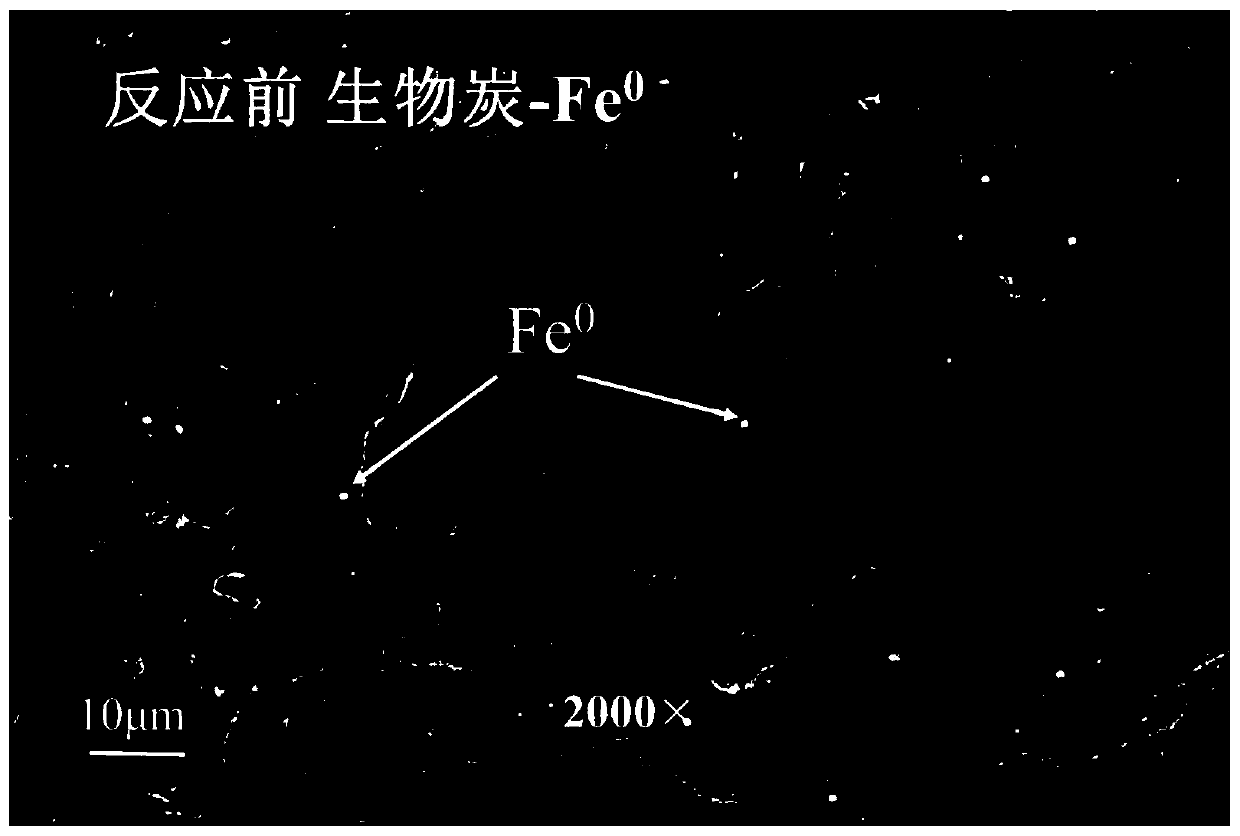 Method for cooperatively repairing chromium polluted soil by biochar-based zero valent iron and microorganism