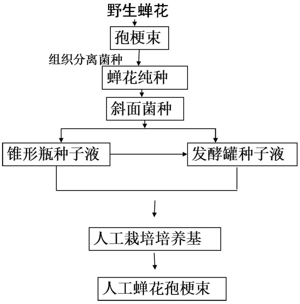 Drug compositions and applications that treat and prevent intestinal mucosal injury