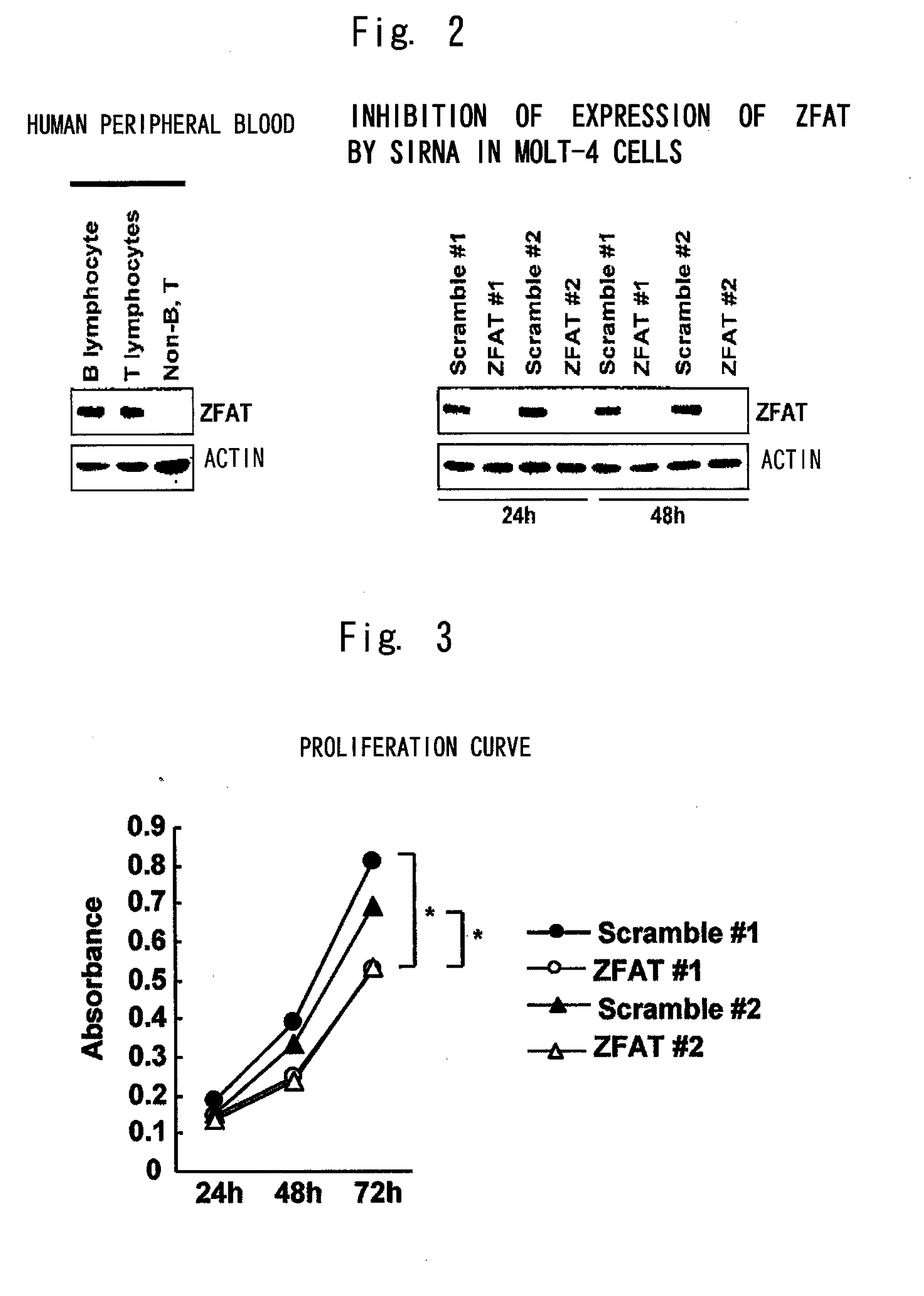 Inhibitory RNA for modulating the molecular function of zfat gene