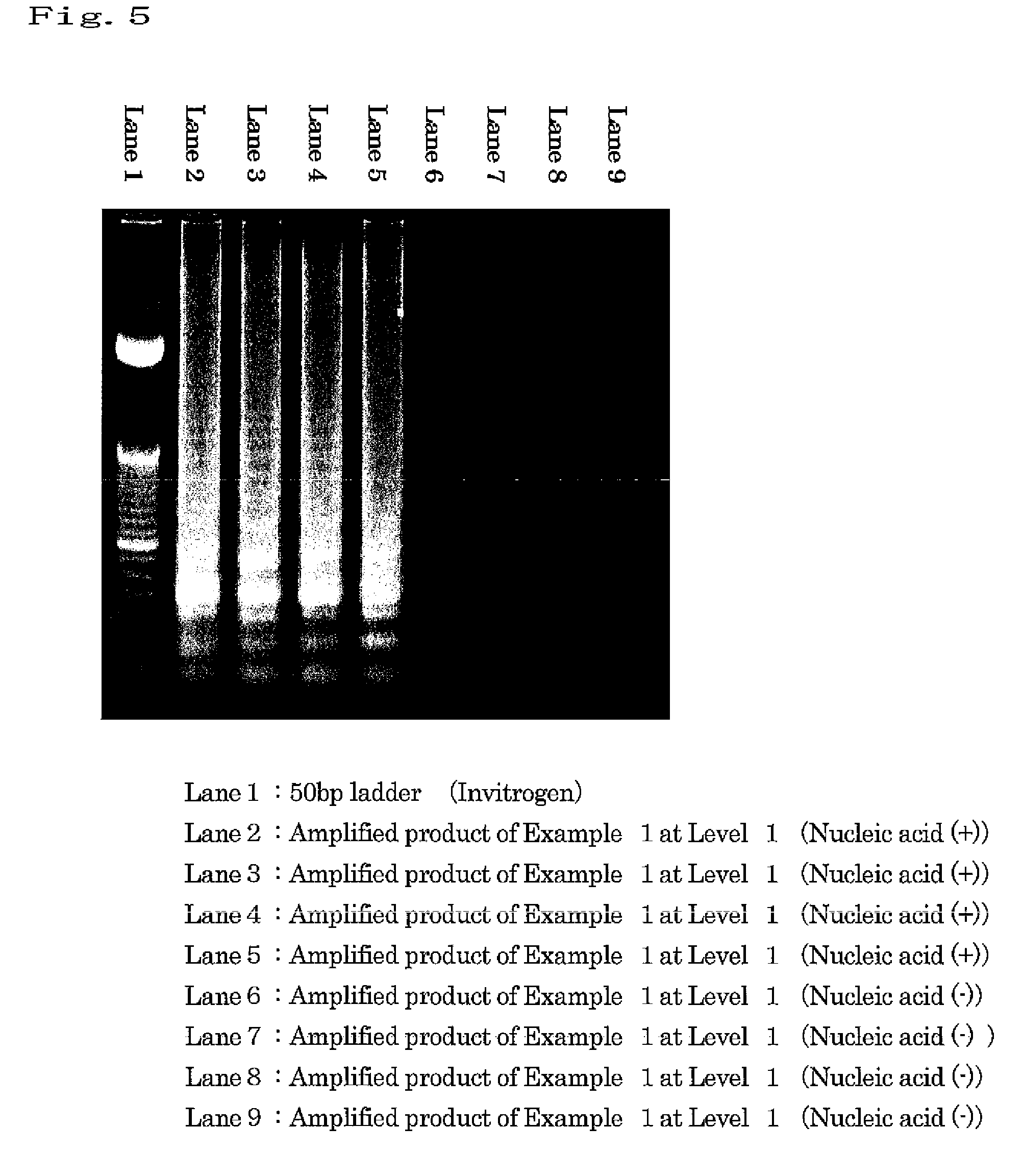 Isothermal nucleic acid amplification method using surfactant