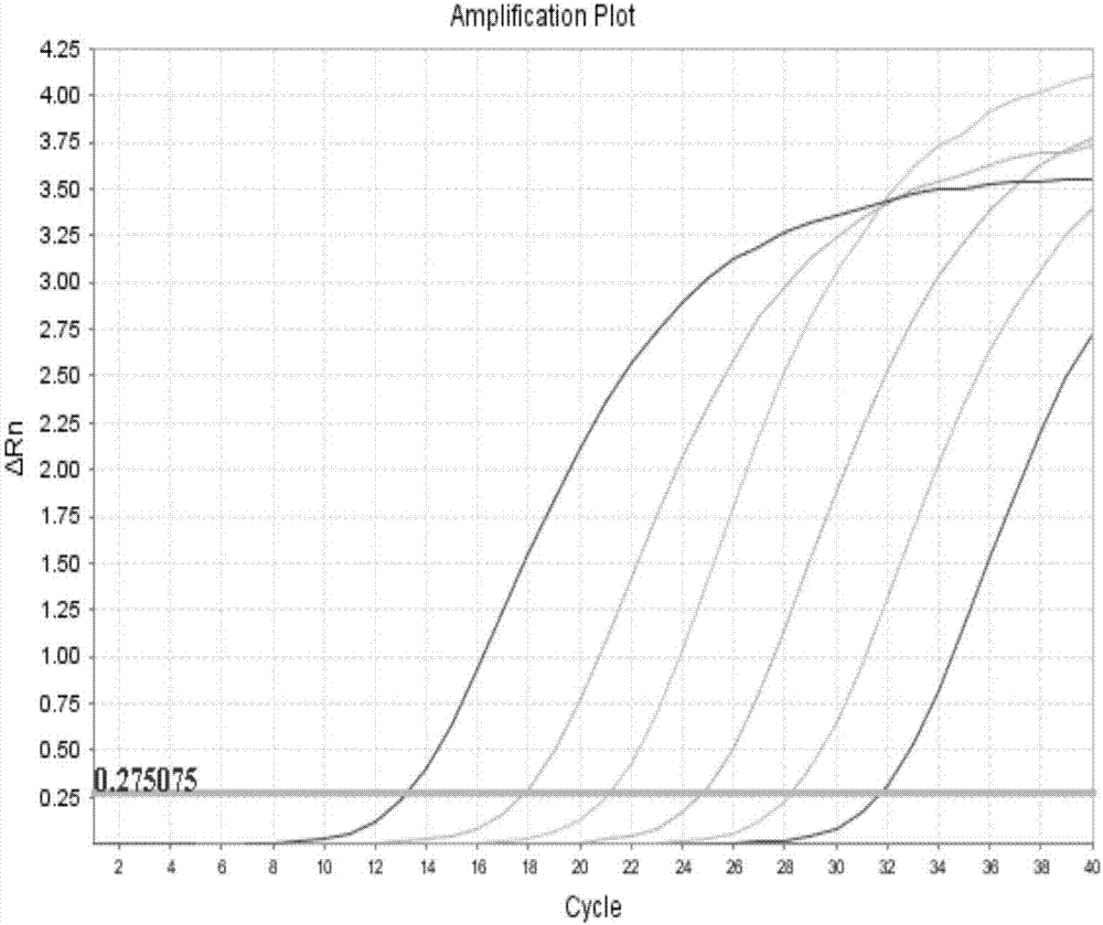 Fluorescent PCR (polymerase chain reaction) method and kit for specifically detecting Toxoplasma gondii nucleic acid