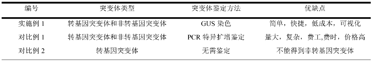 Method for efficiently screening out non-transgenic mutants in agrobacterium tumefacien mediated gene editing