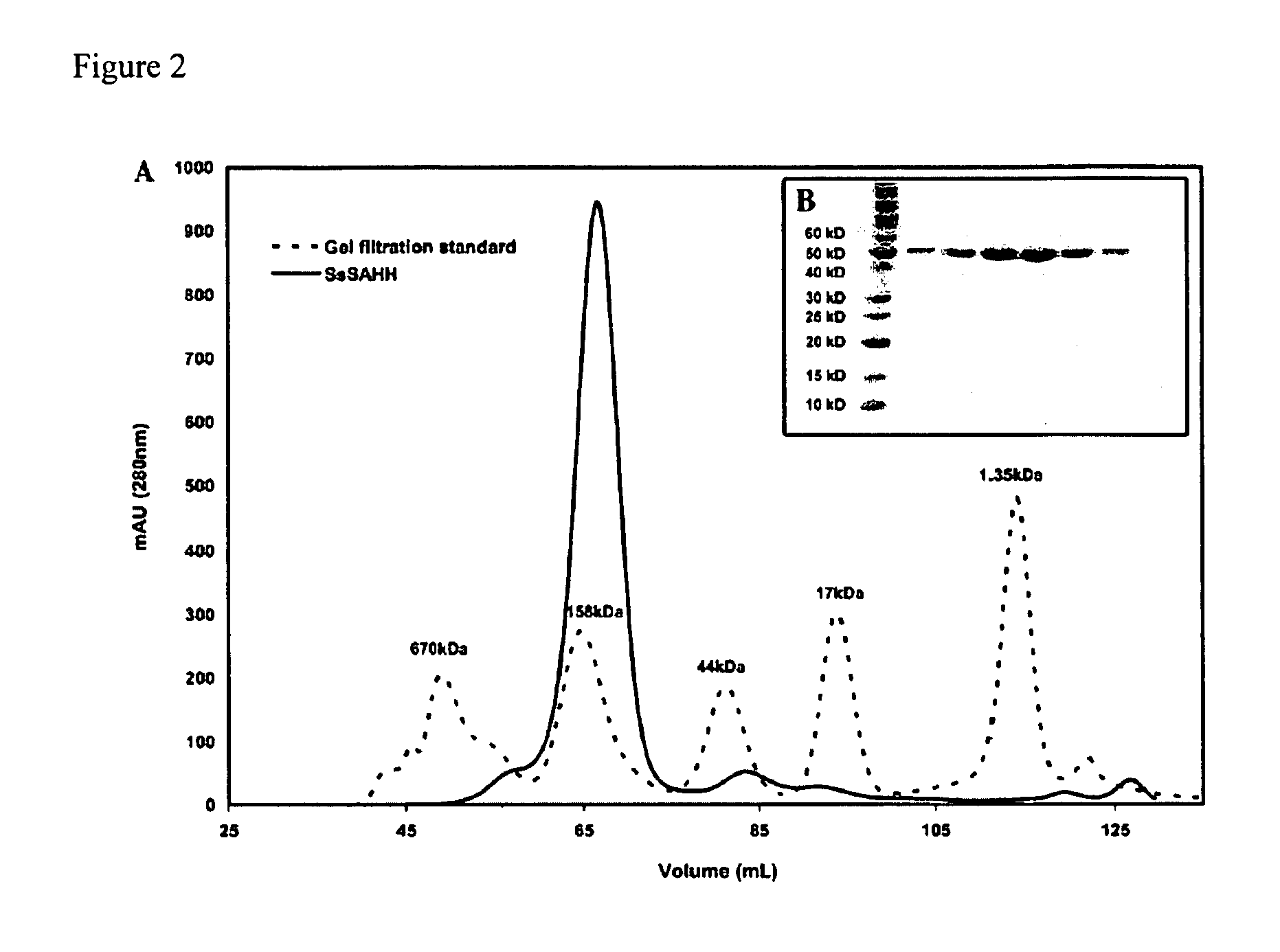 Methyltransferase assays