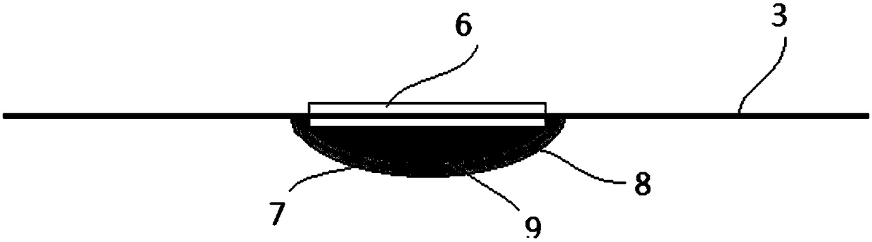 Detection method of biological surface electrical signal