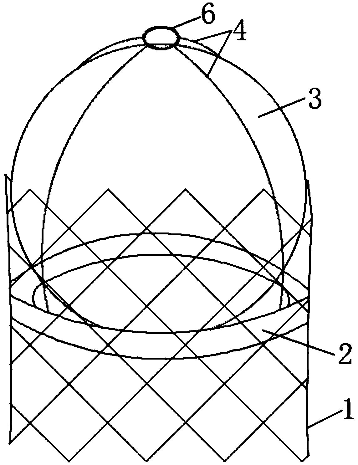 Interventional aortic valve stent system with inflating type ball bag