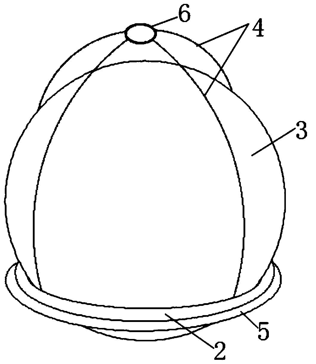 Interventional aortic valve stent system with inflating type ball bag