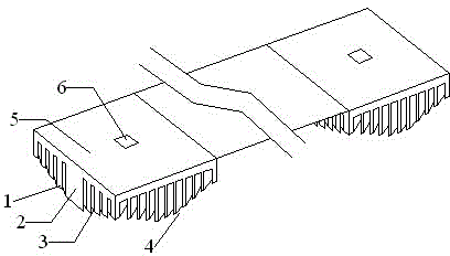 Concentrating photovoltaic solar energy heat radiator module