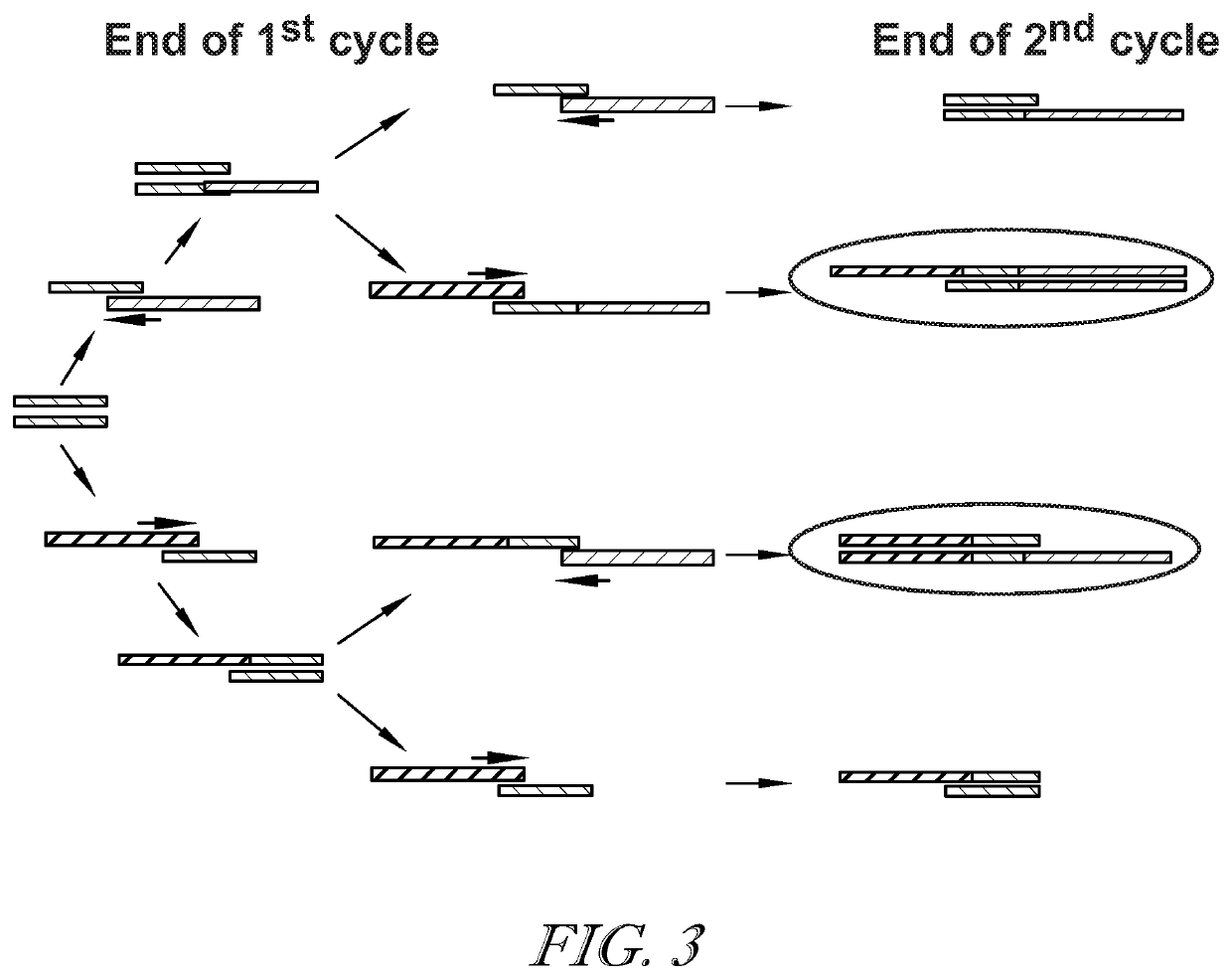 Methods of analyzing DNA in urine