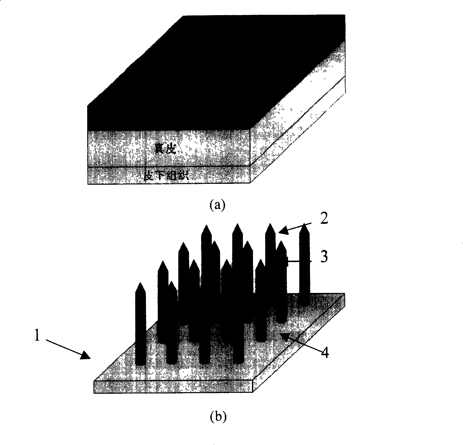 Miniature needle array for medicine transmission and making process thereof