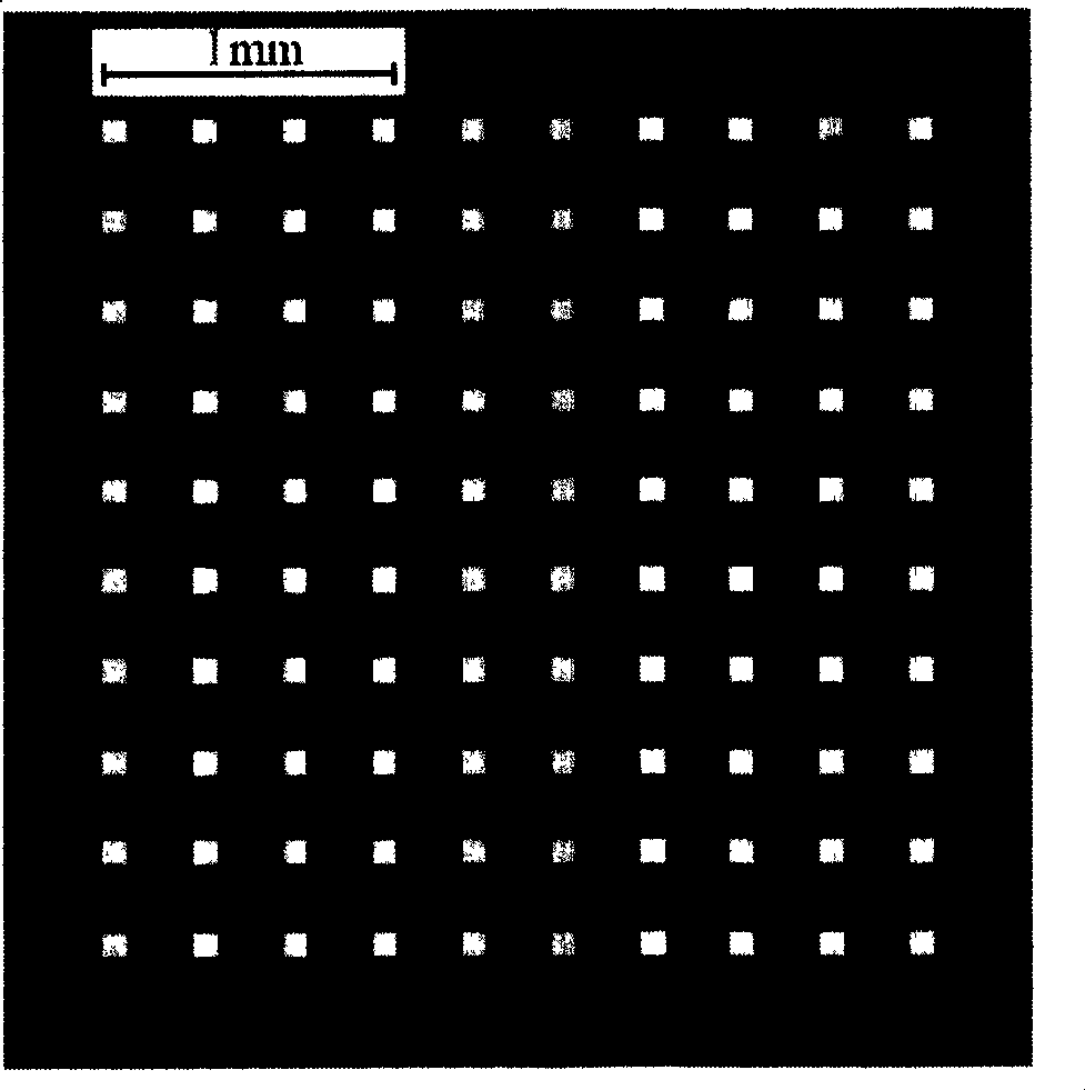 Miniature needle array for medicine transmission and making process thereof