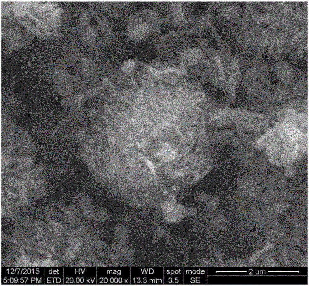 Titanium dioxide/graphene/molecularly imprinted composite material and preparation method and application thereof