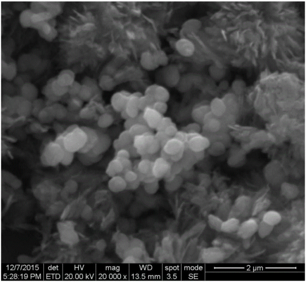 Titanium dioxide/graphene/molecularly imprinted composite material and preparation method and application thereof