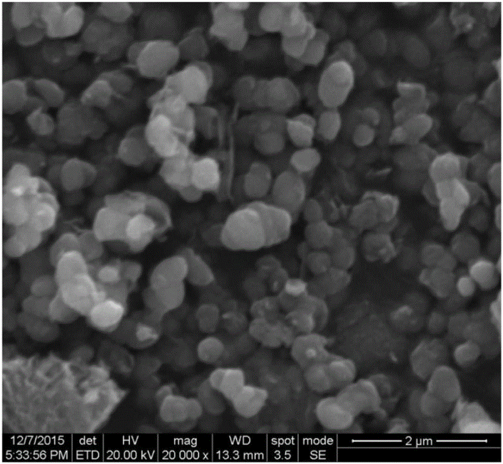 Titanium dioxide/graphene/molecularly imprinted composite material and preparation method and application thereof