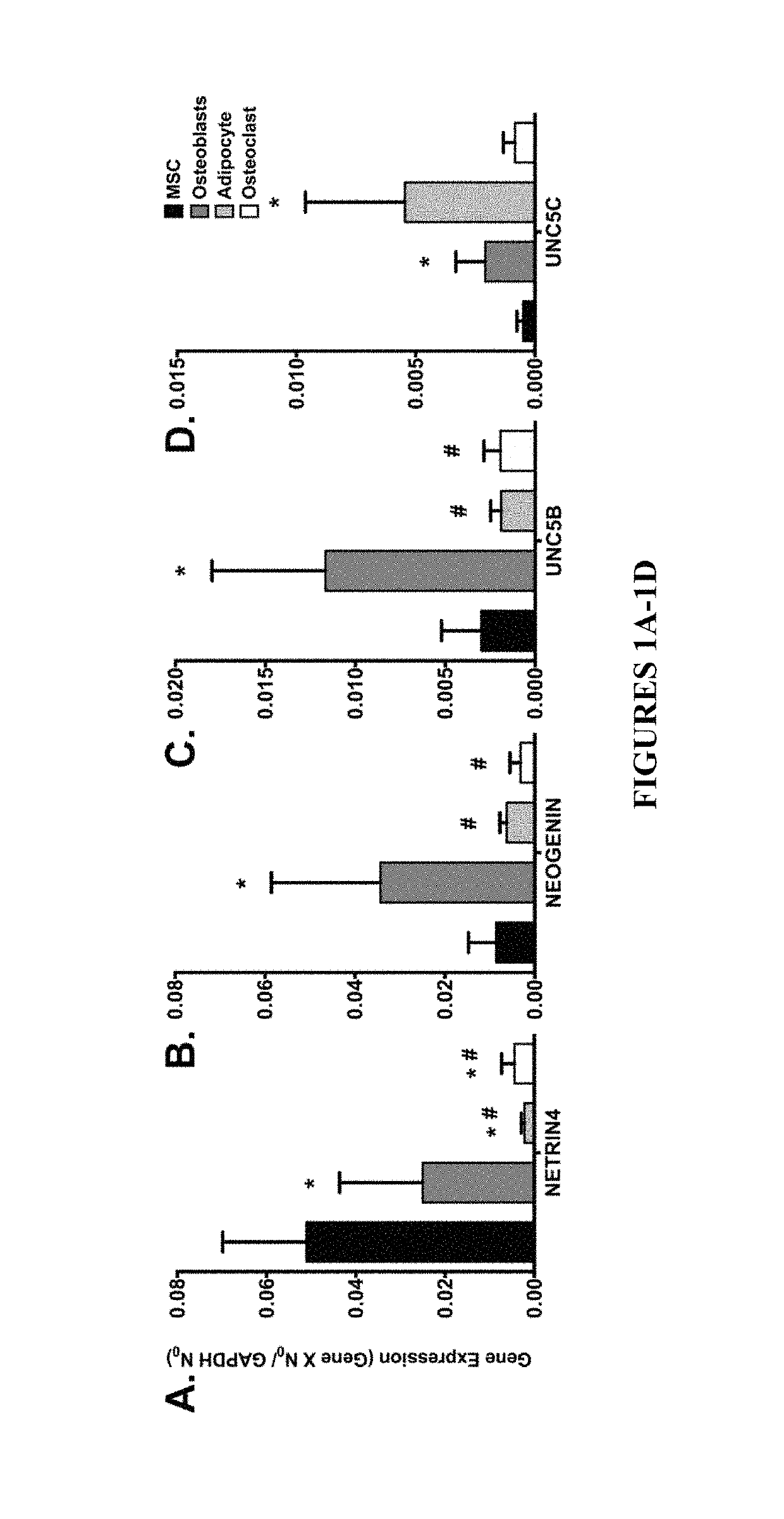 Neurogenic regulation of bone growth and bone degradation