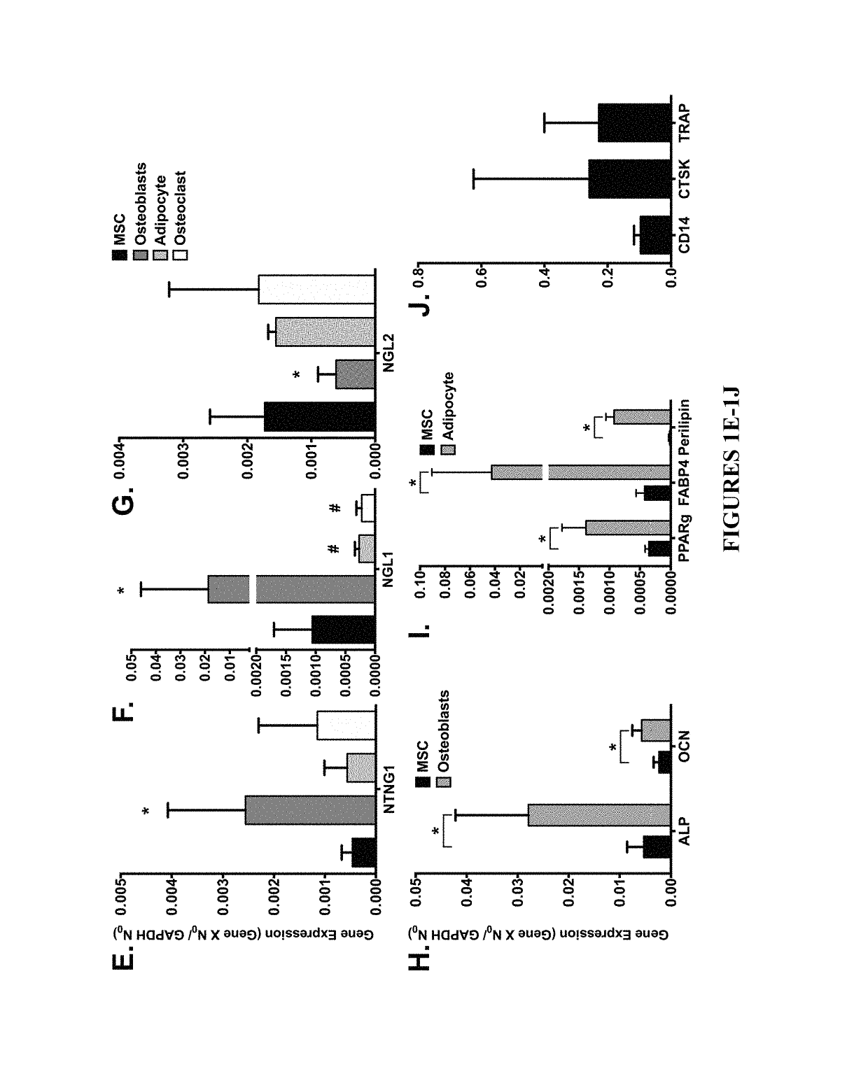 Neurogenic regulation of bone growth and bone degradation