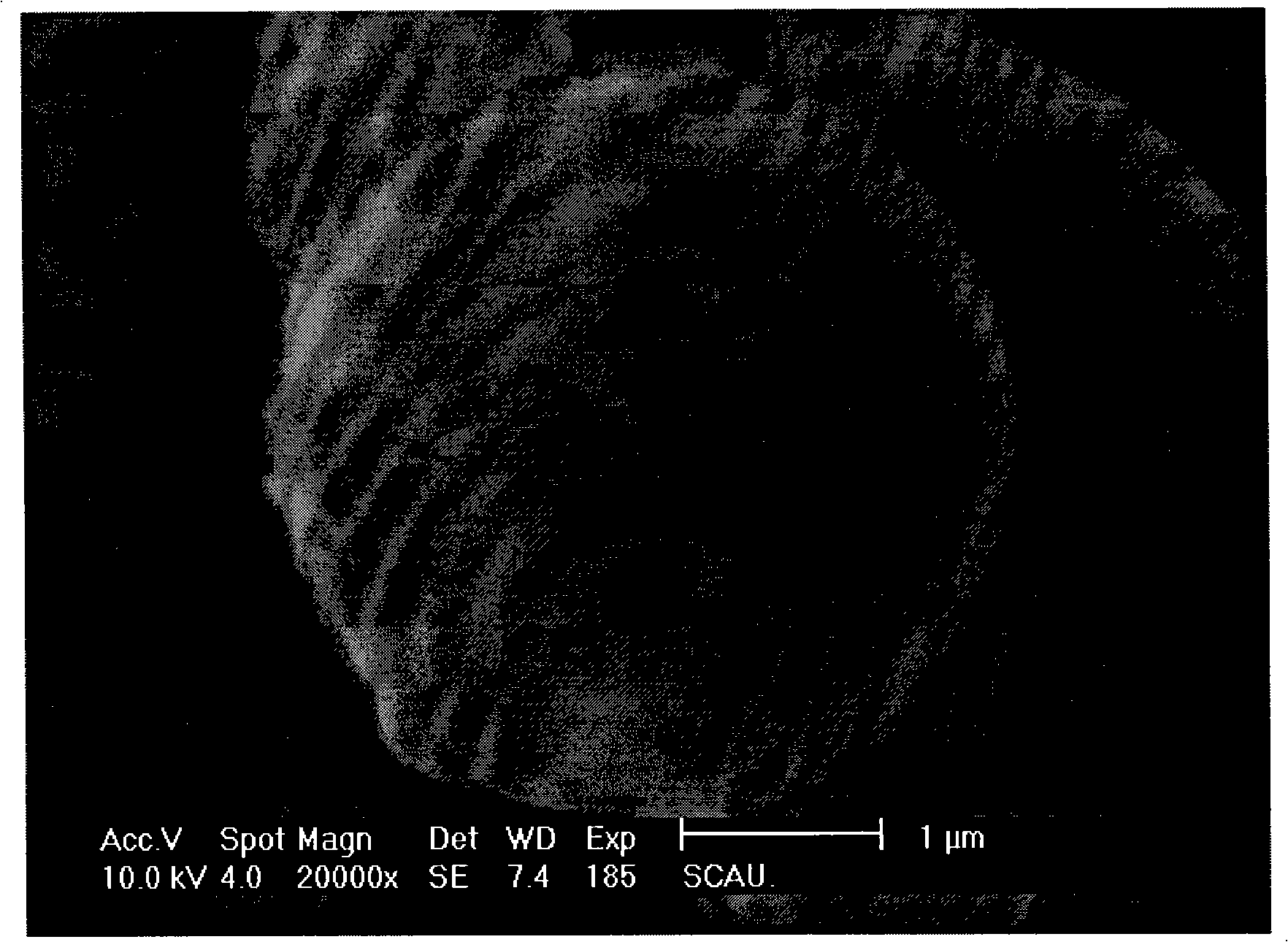 Biological activity glass mesoporous microsphere and preparation method thereof