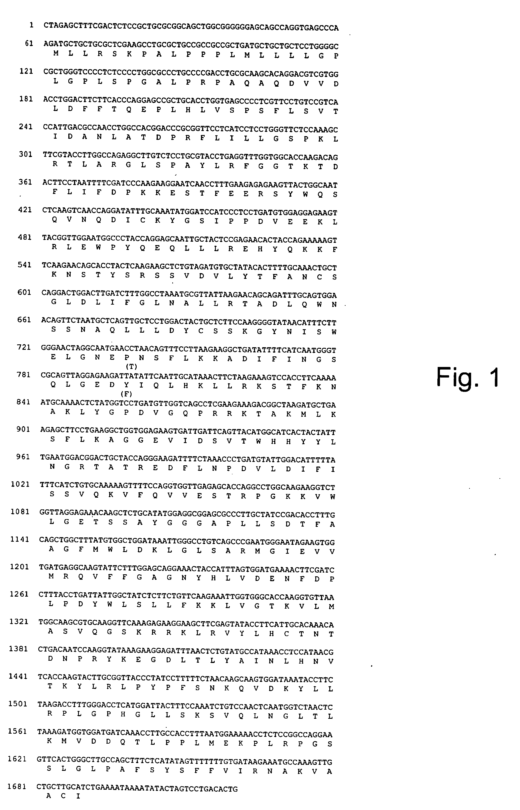 Therapeutic and cosmetic uses of heparanases