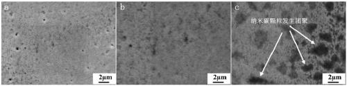 Preparation method of carbon nanoparticle solution and application of carbon nanoparticle solution in nickel coating