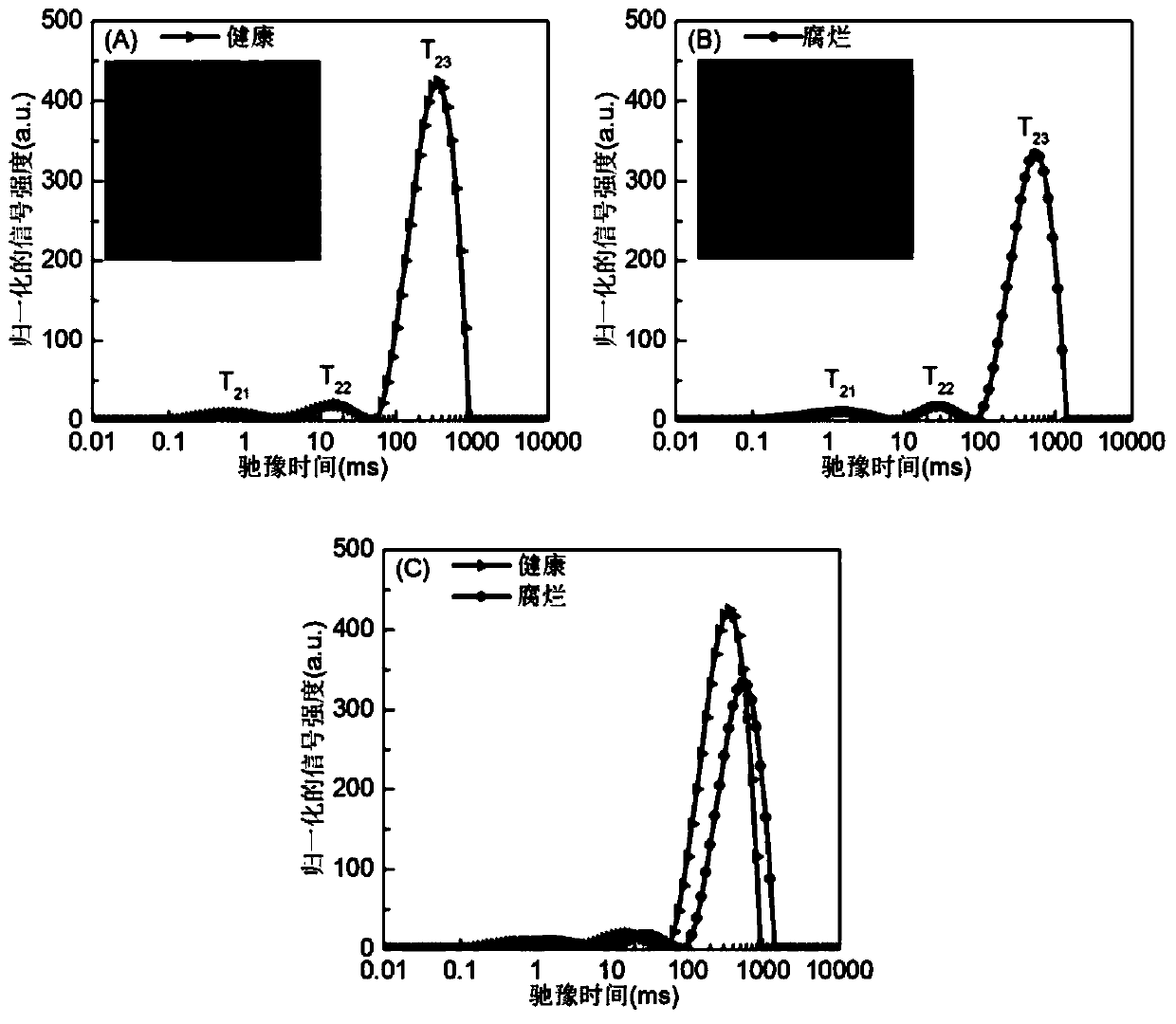 Method for judging rotten blueberries based on low-field nuclear magnetic resonance technology