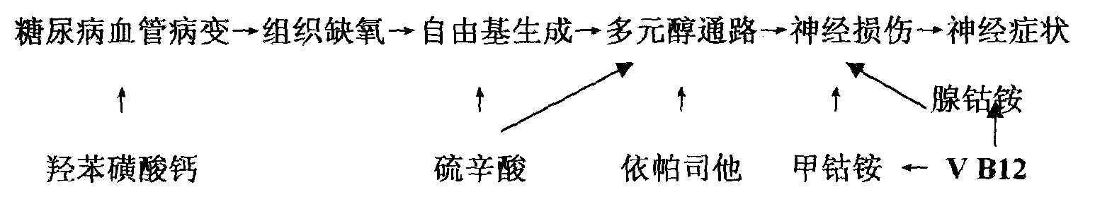 Medicinal composition for treating diabetes chronic complication and preparation method thereof