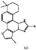 Tanshinone II A derivative and preparation method and application thereof