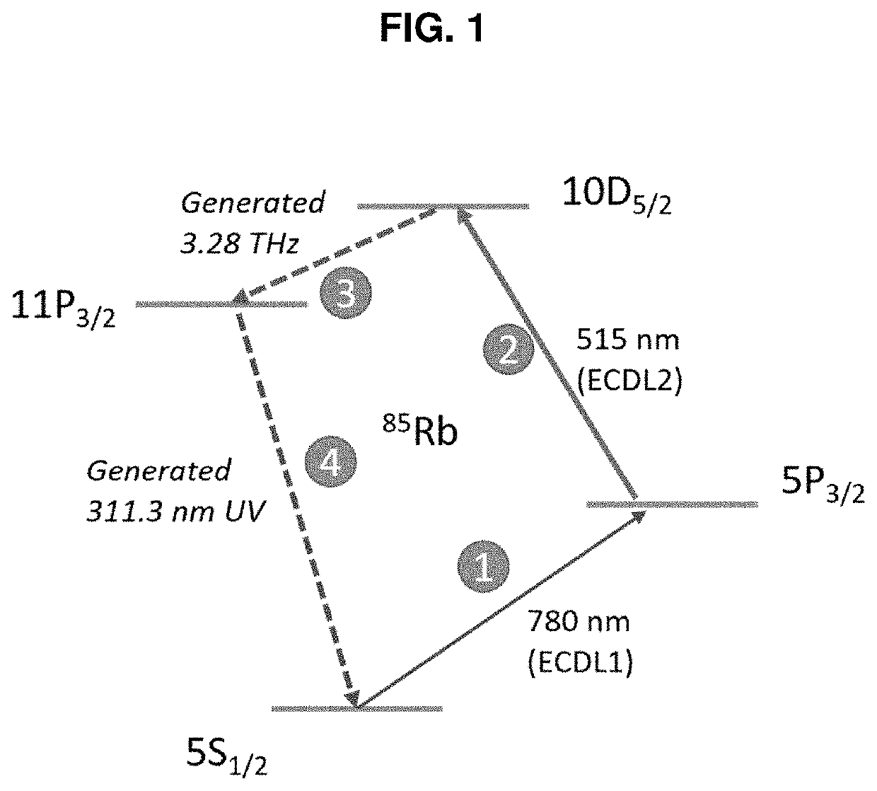 Continuous-wave terahertz generation via optically pumped rydberg states