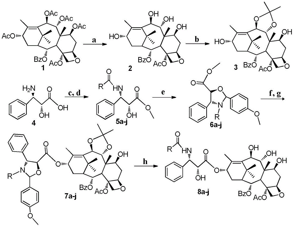 9,10-dihydroxy-1-deoxy-taxol analogue and preparation method thereof