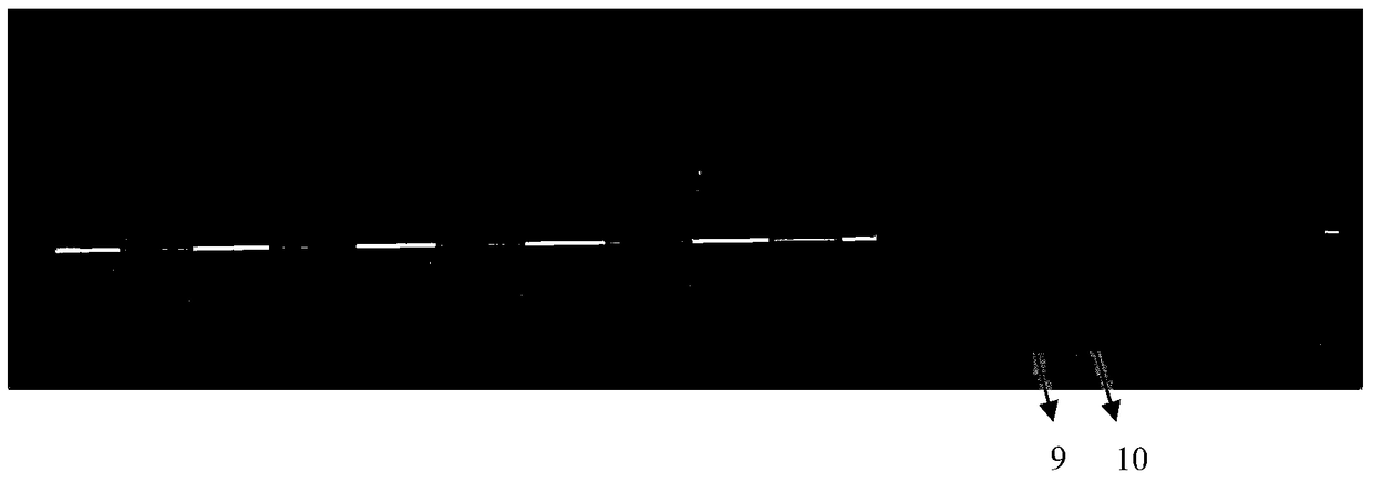 All-in-one cavity bandpass filter and lowpass filter assembly