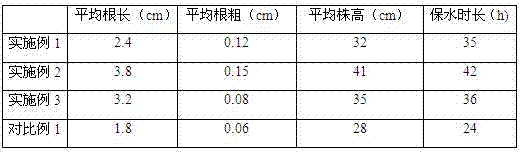 Dendrobium officinale seedling cultivation matrix and preparation method for same