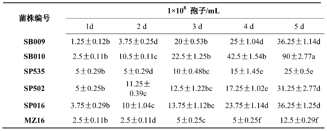 Beauveria brongniartii SB010 and application of beauveria brongniartii SB010 in prevention and treatment of thrips vulgatissimus halidayris