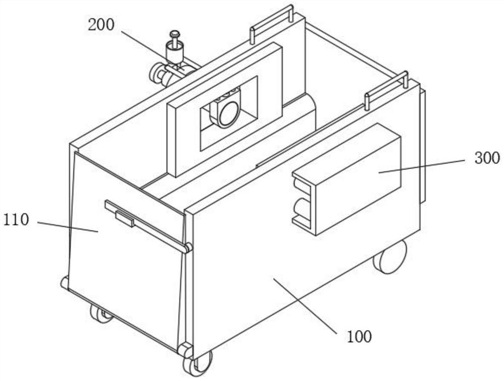 Adult sheep fixing device facilitating replacement of adult sheep identity tag