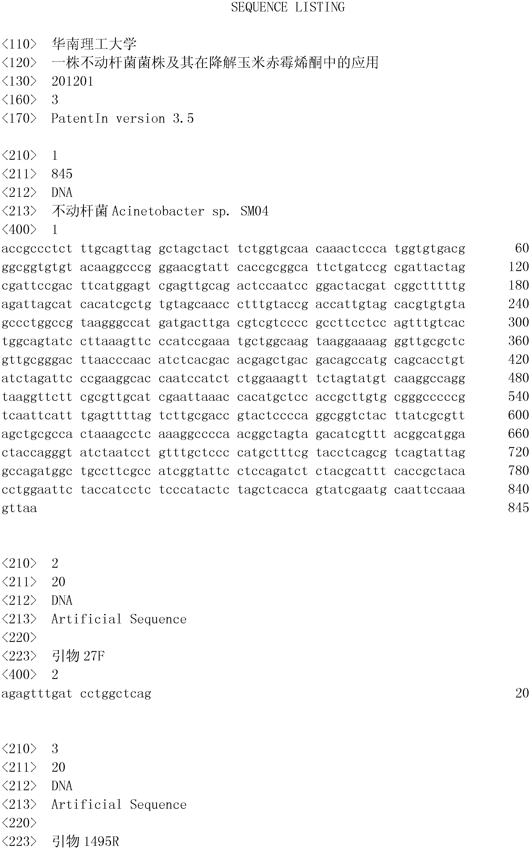 Acinetobacter strain and application thereof to degradation of zearalenone