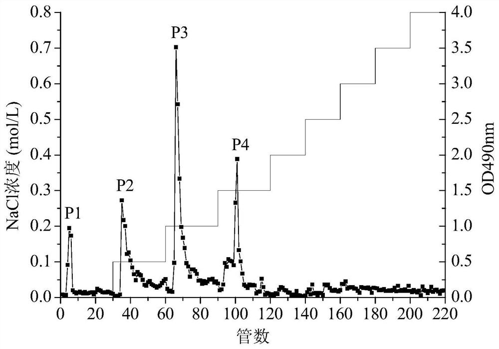 A method for extracting and separating and purifying polysaccharide from myrtle fruit