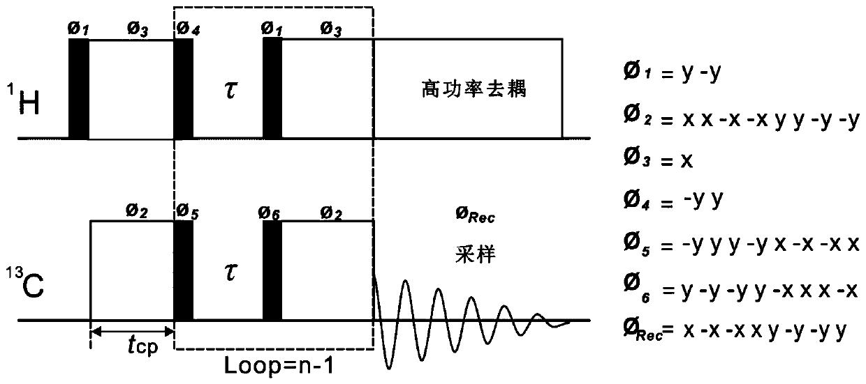 Solid nuclear magnetic resonance quantitative detection method and device based on successive cross polarization