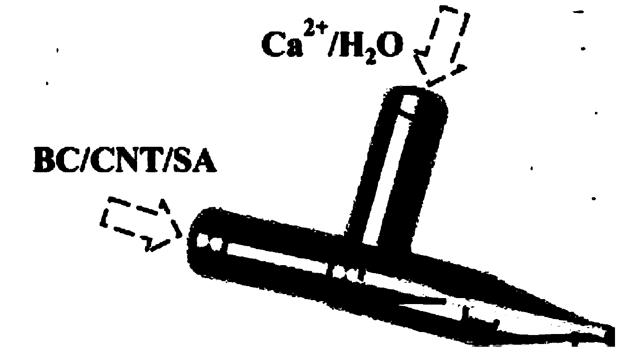 Preparation methods of bacterial cellulose-carbon nanotube/polyaniline composite microfibers and miniature supercapacitor