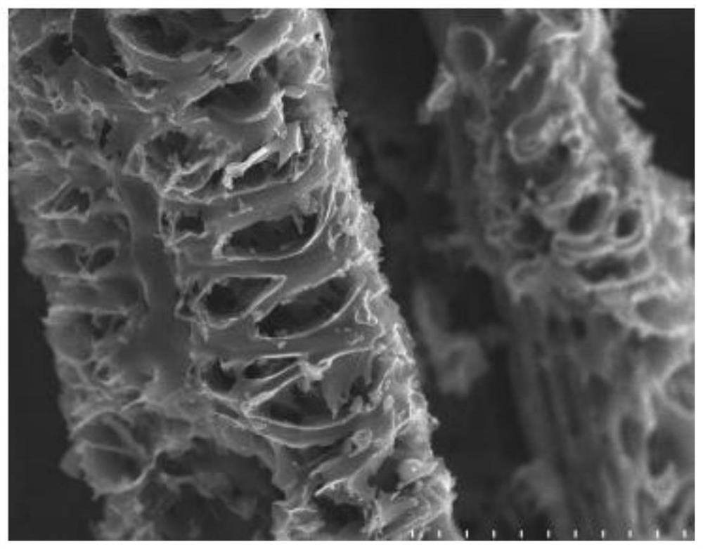 Method for preparing modified biochar