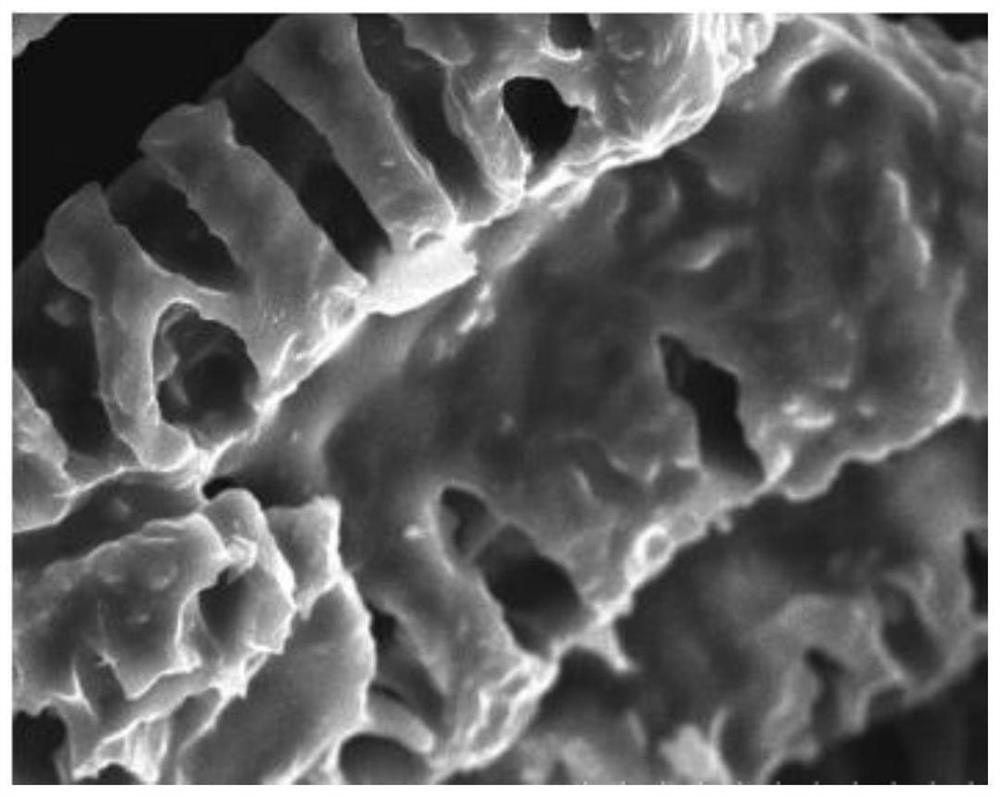 Method for preparing modified biochar