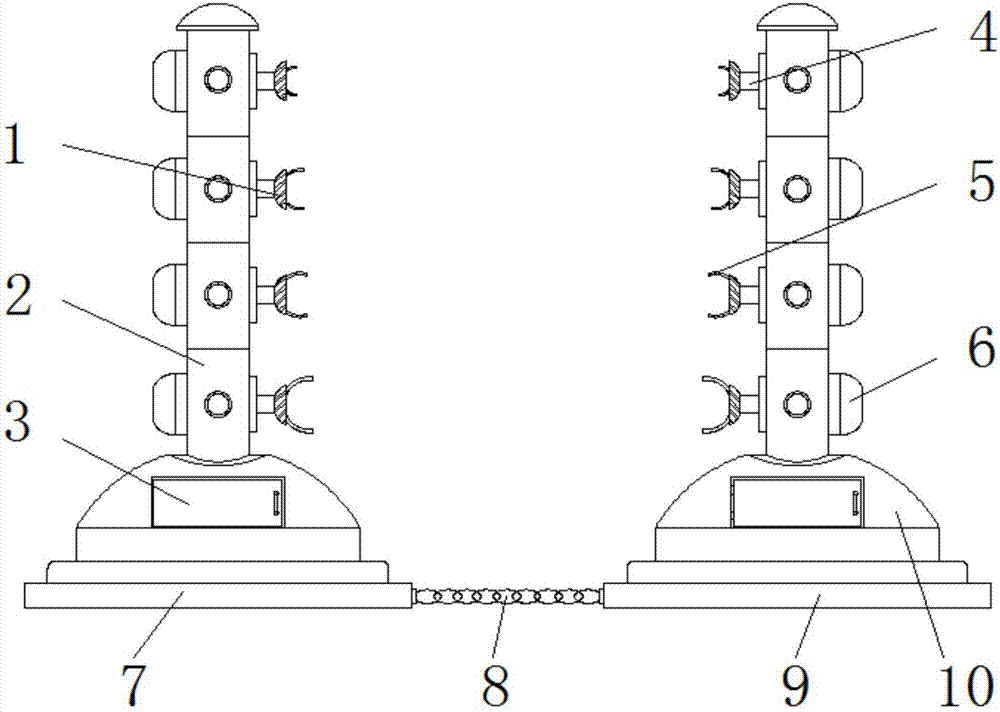 Corrective device for maidenhair tree planting