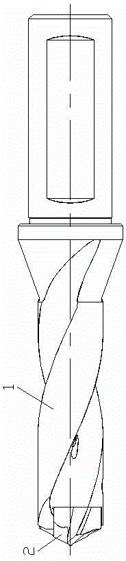 Drill bit of replaceable cutter head type structure