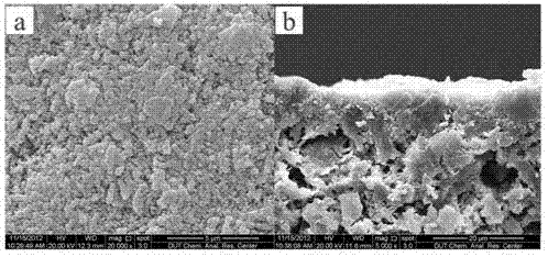 Seed crystal-free self-assembly hydrothermal synthesis method of hydrophilic zeolite membrane