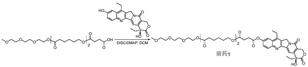 Camptothecin-polycaprolactone coupling prodrug, preparation method thereof, preparation, and preparation method and application of preparation