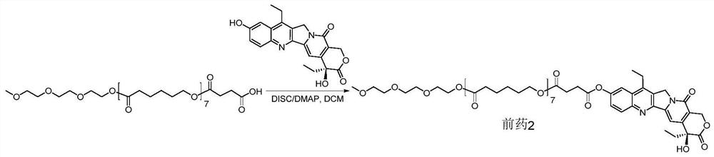 Camptothecin-polycaprolactone coupling prodrug, preparation method thereof, preparation, and preparation method and application of preparation