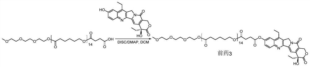 Camptothecin-polycaprolactone coupling prodrug, preparation method thereof, preparation, and preparation method and application of preparation