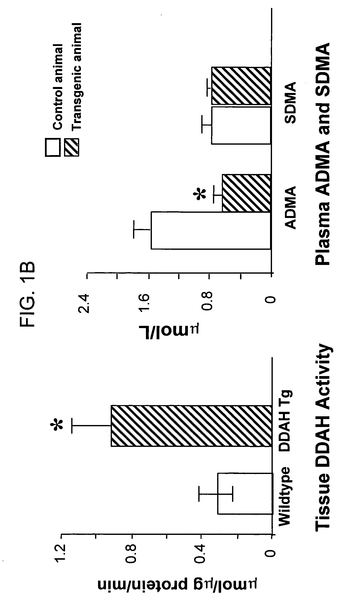 Modulators of dimethylarginine dimethylaminohydrolase and methods of use thereof