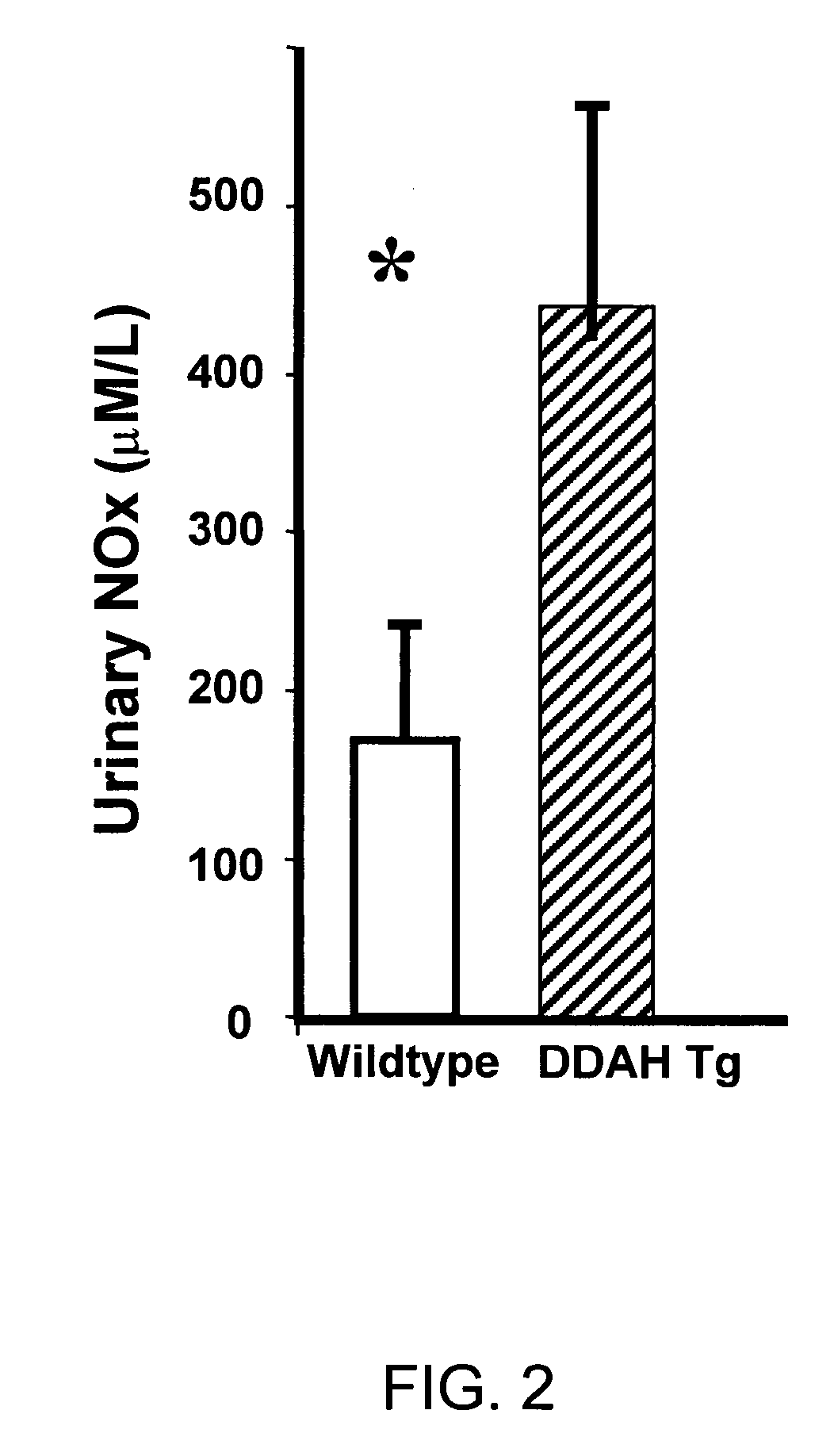 Modulators of dimethylarginine dimethylaminohydrolase and methods of use thereof